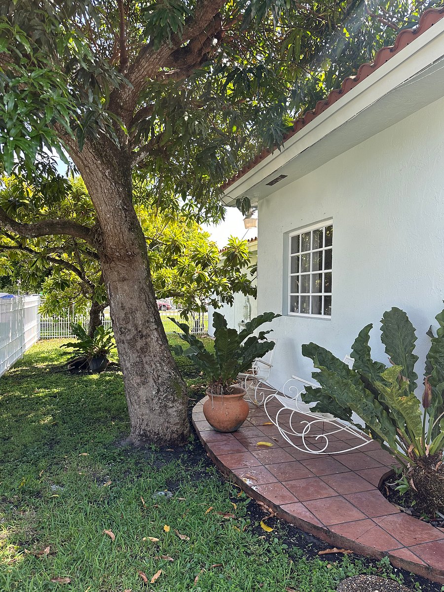 Furnished Finder property 1028265_1 photo 23
