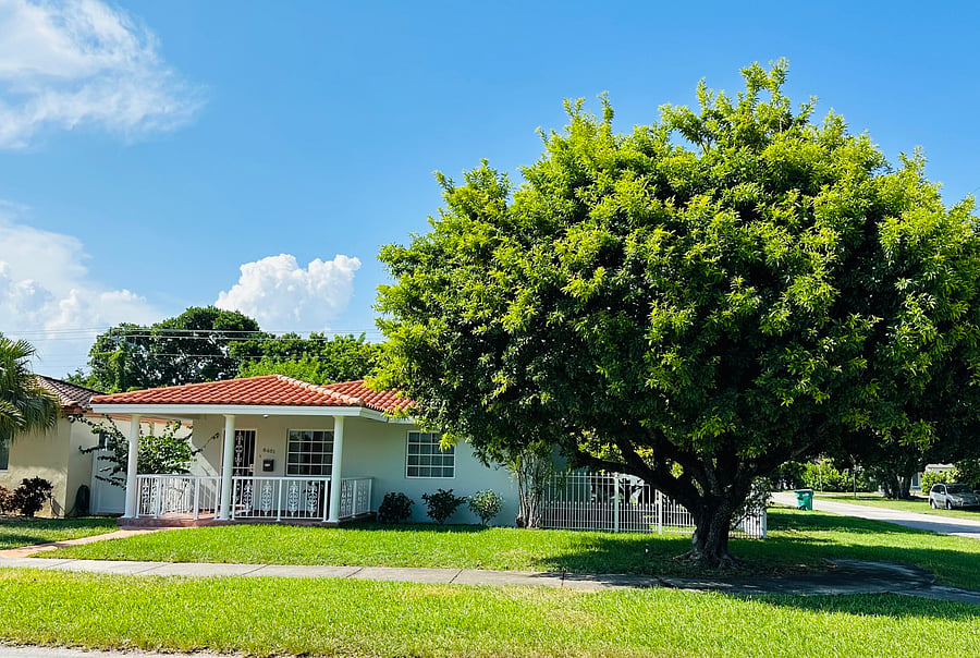 Furnished Finder property 1028265_1 photo 33