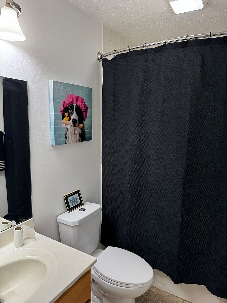 Furnished Finder property 1028270_1 photo 18