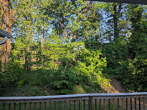 Furnished Finder property 1028300_1 photo 10