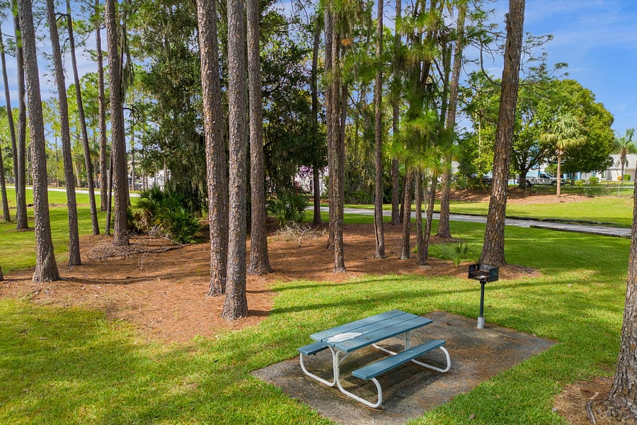 Furnished Finder property 1028359_1 photo 15