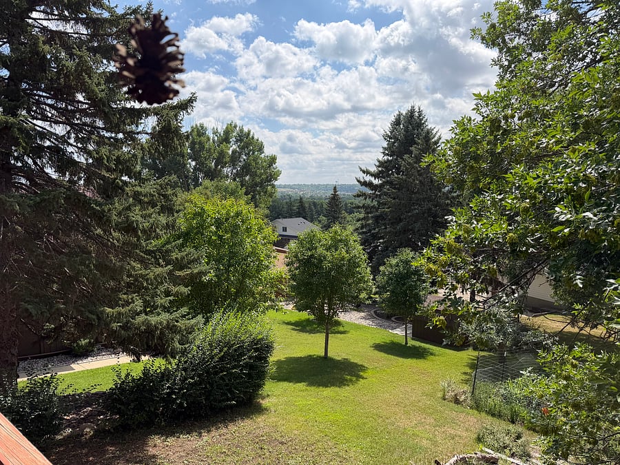 Furnished Finder property 1028550_1 photo 6