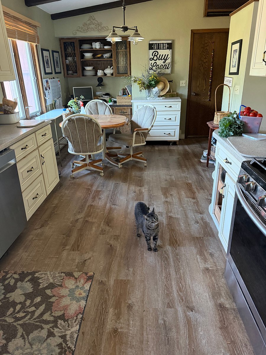 Furnished Finder property 1028550_1 photo 14