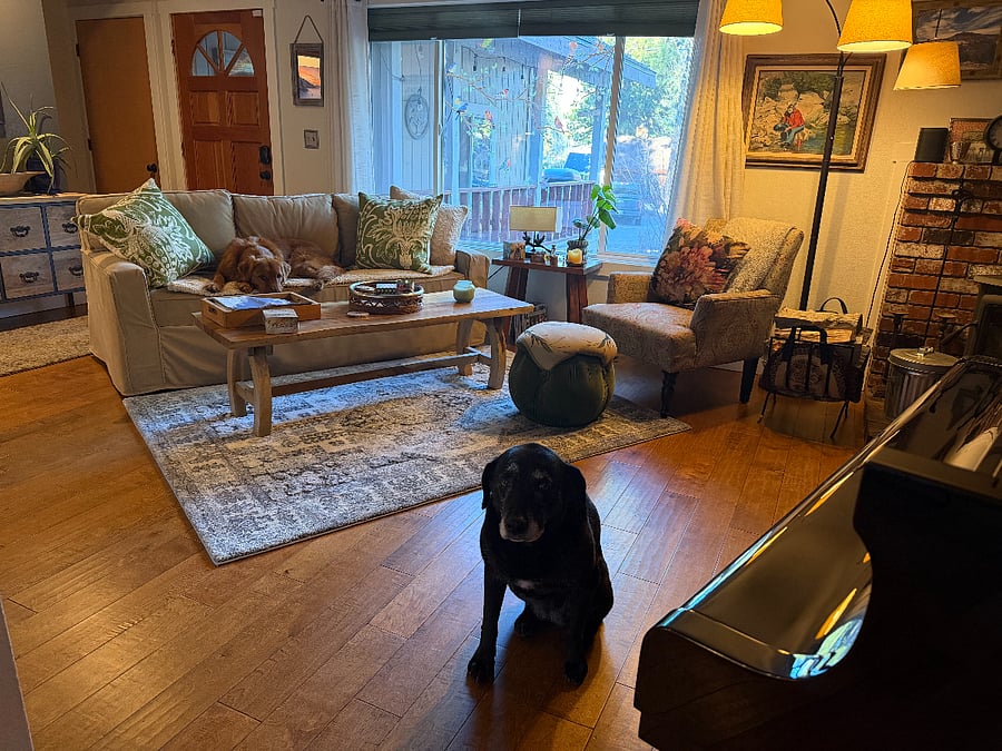Furnished Finder property 1028575_1 photo 7