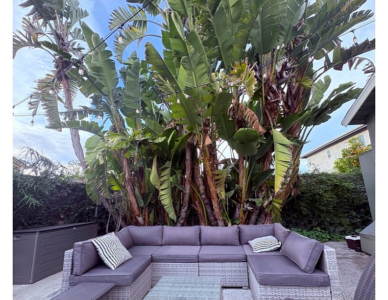 Furnished Finder property 1028587_1 photo 6
