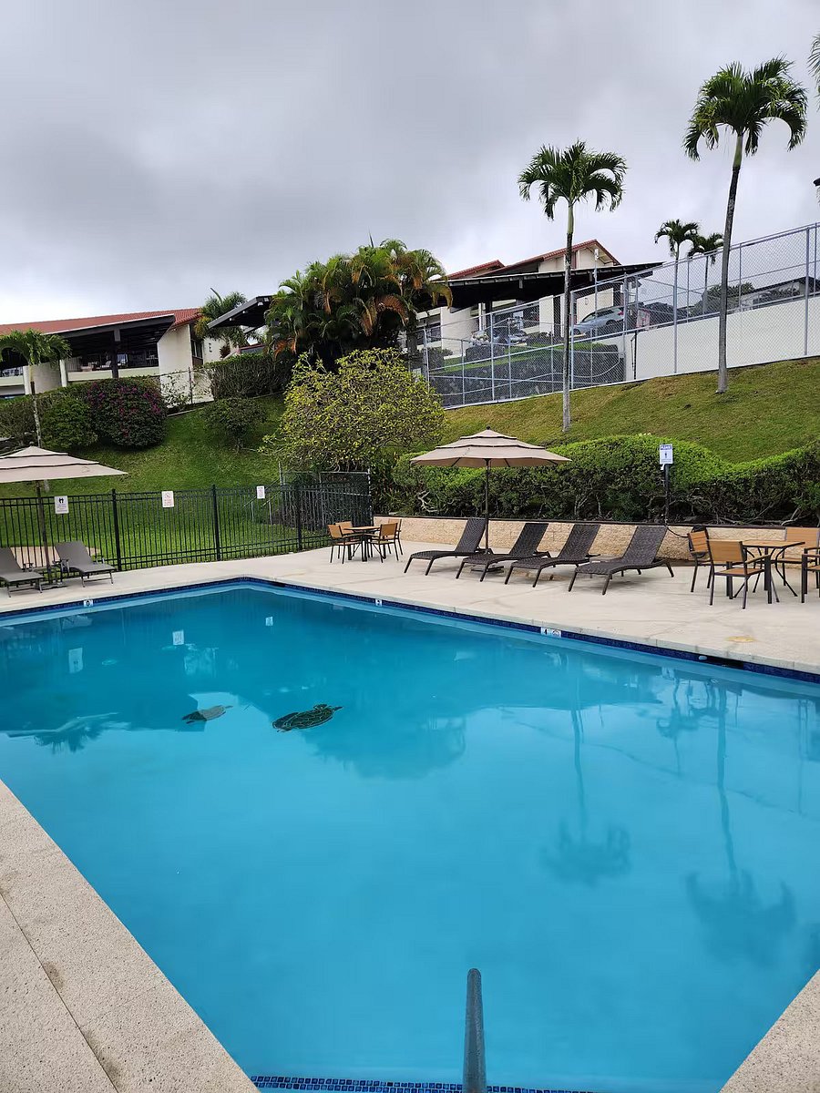 Furnished Finder property 1028602_1 photo 22
