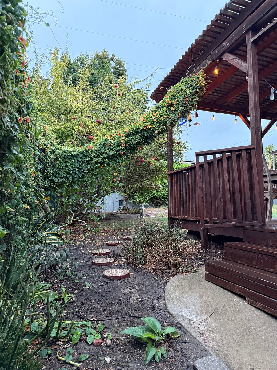 Side yard 