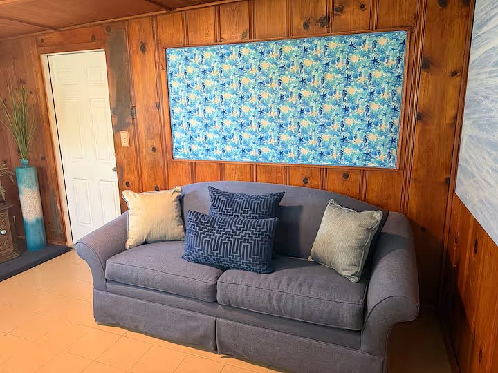 Queen Sofa Bed in Wood Room Third Bedroom