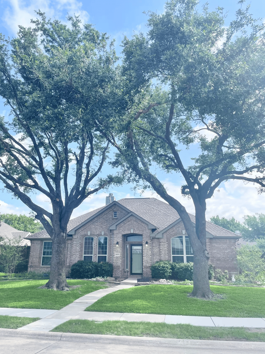 Furnished Finder property 1028970_1 photo 3
