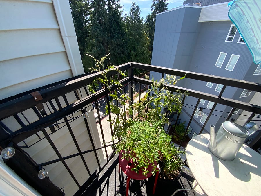Furnished Finder property 1029147_1 photo 16