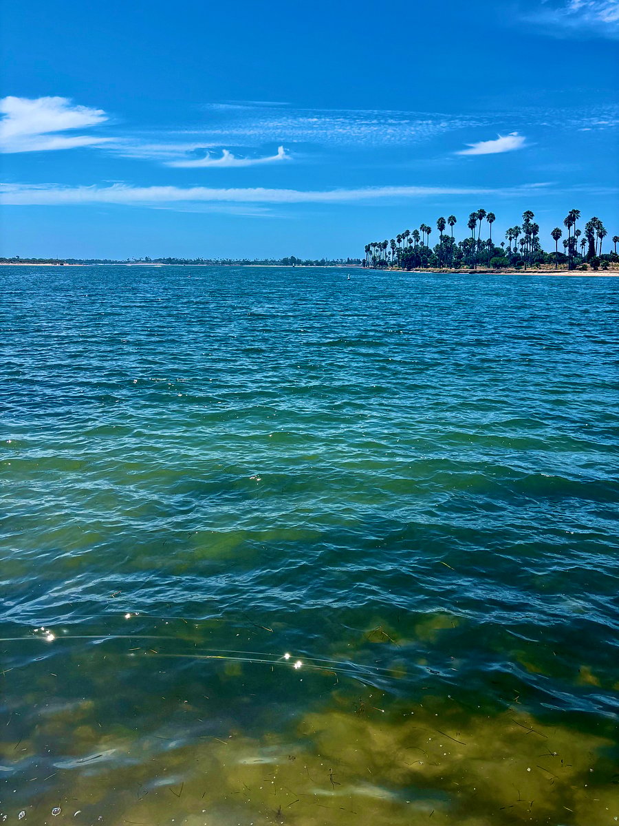 East Mission Bay just 1/10 of a mile from the home.