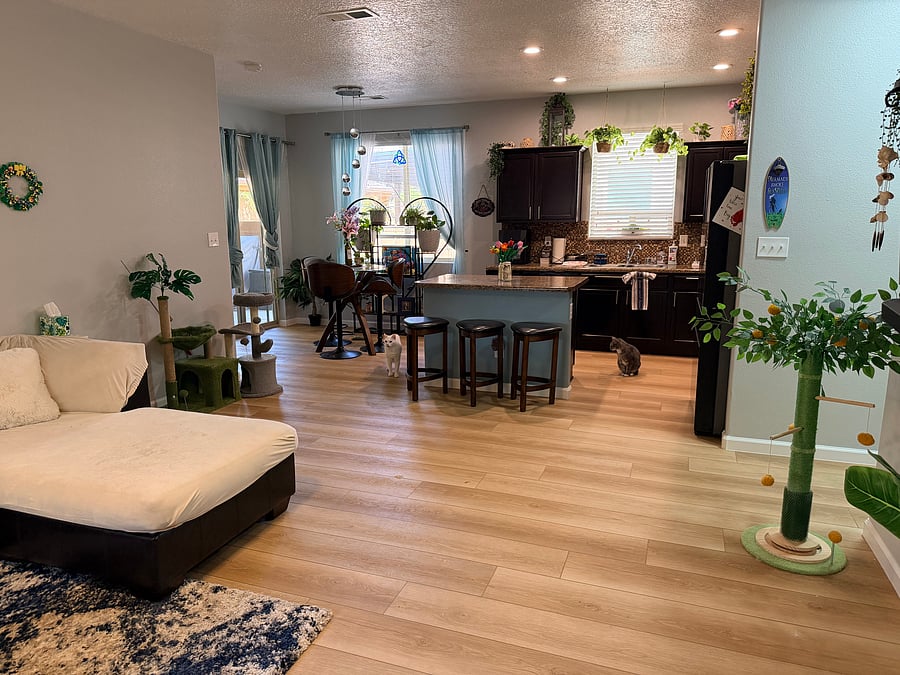 Furnished Finder property 1029228_1 photo 8