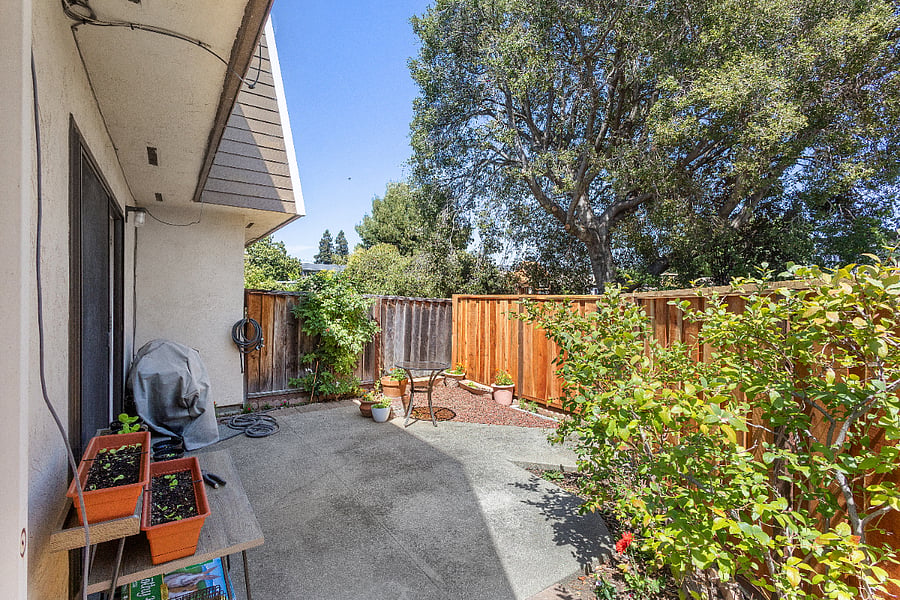 Enclosed shared patio garden