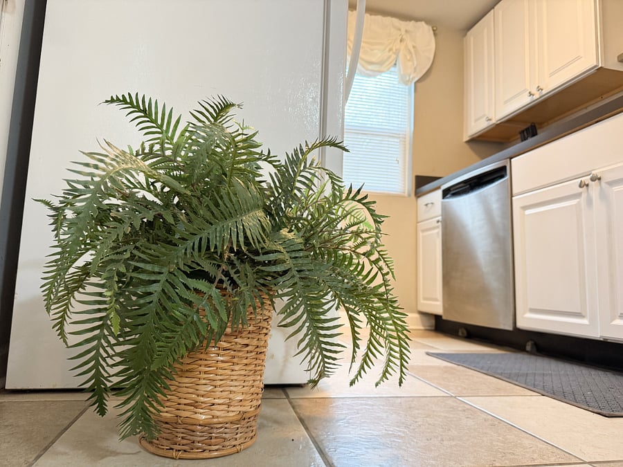 Furnished Finder property 1029436_1 photo 23