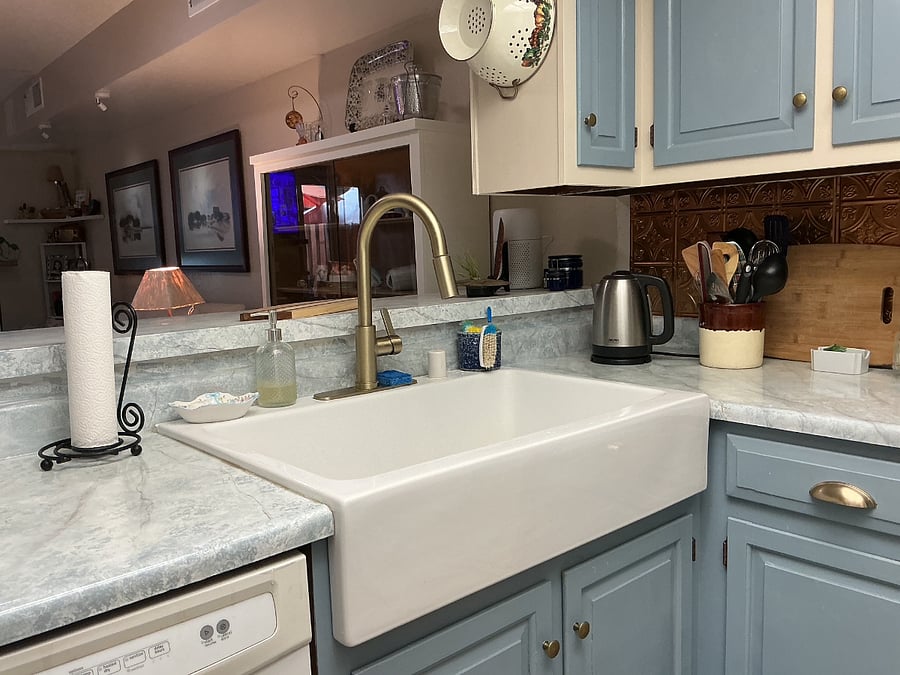 Farmhouse sink & garbage disposal