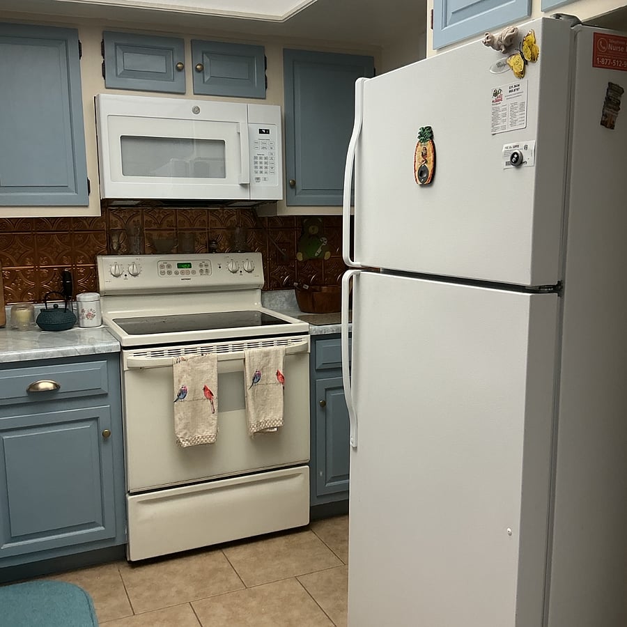 Microwave, stove & refrigerator