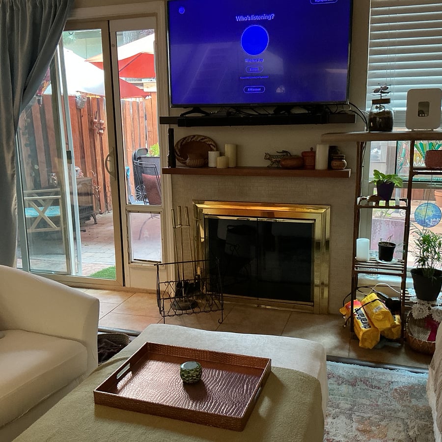Removable pet door to patio
