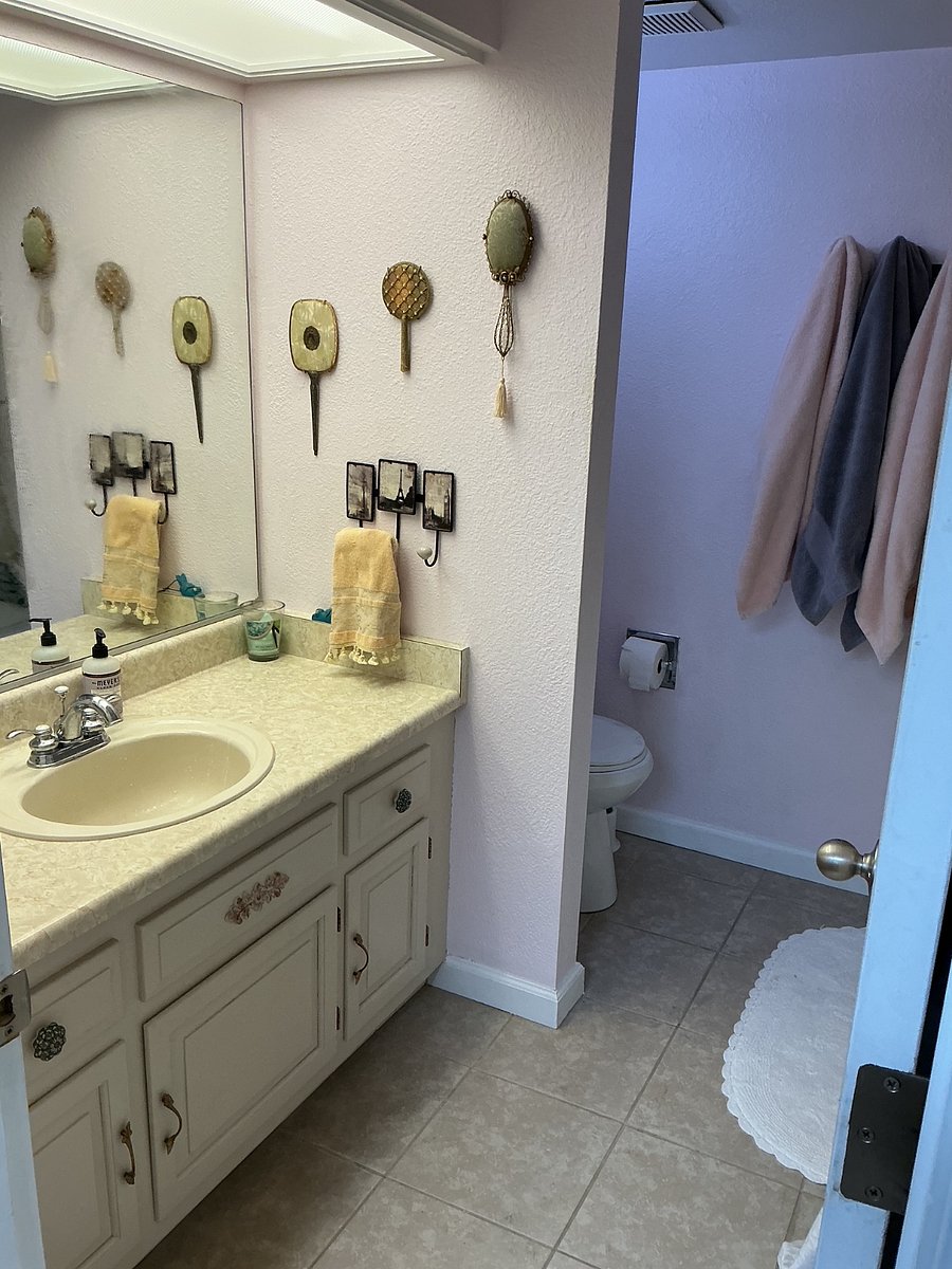 Hall bathroom sink & toilet