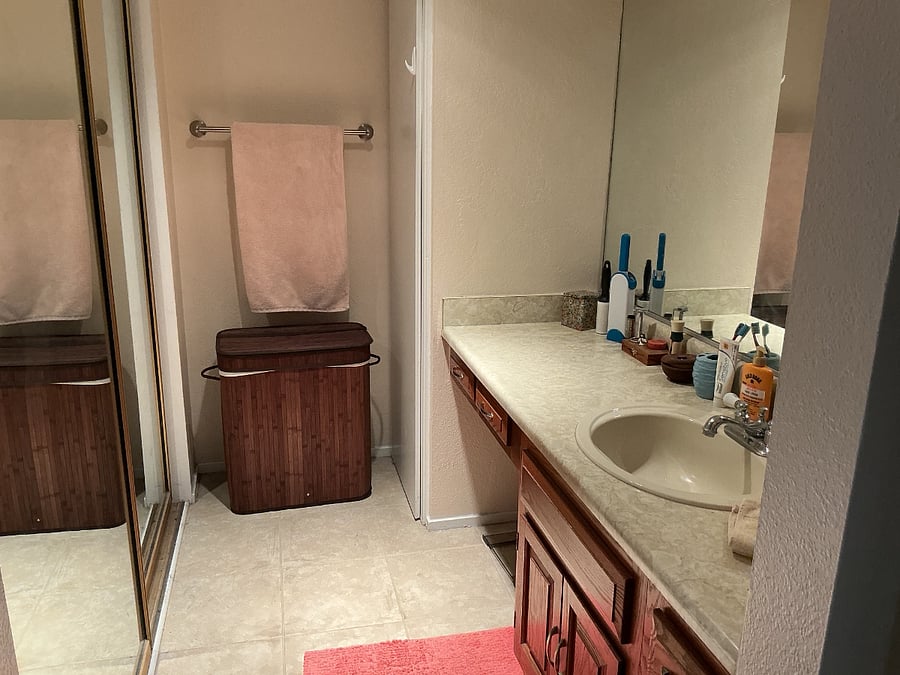 Master bathroom closet & sink