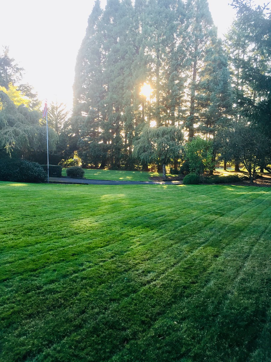 Side and Front Yard