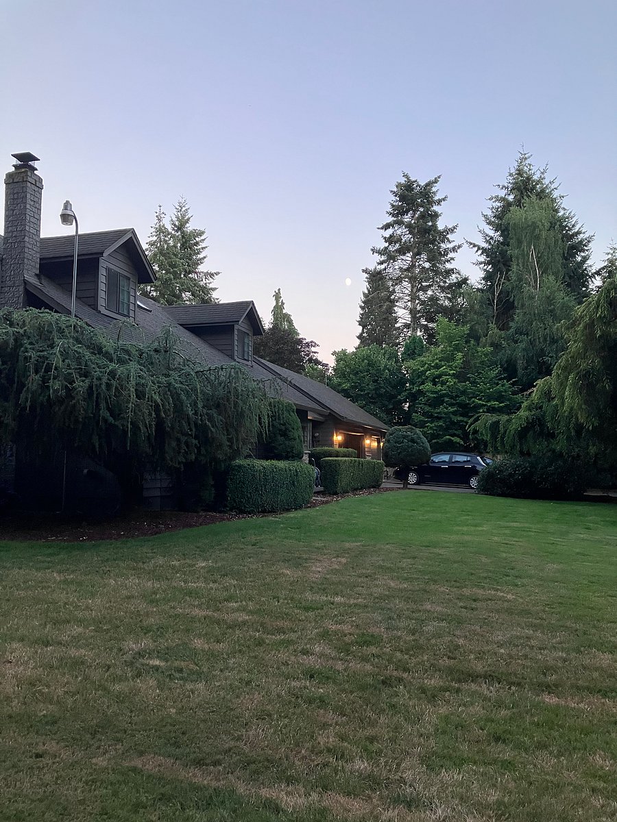 Furnished Finder property 1029509_1 photo 32