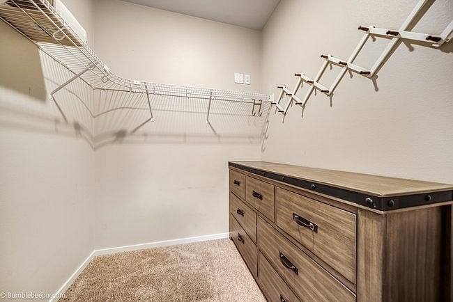 Primary Walk-In Closet
