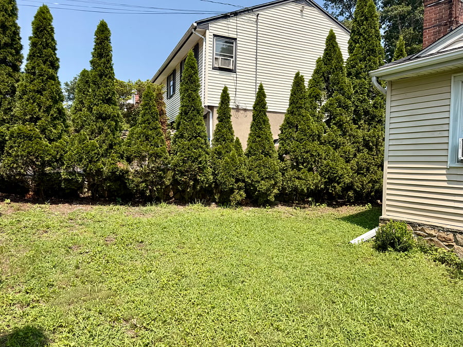 Furnished Finder property 1029620_3 photo 17