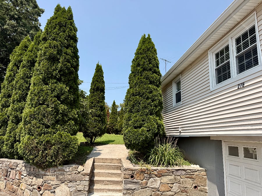 Furnished Finder property 1029620_3 photo 16