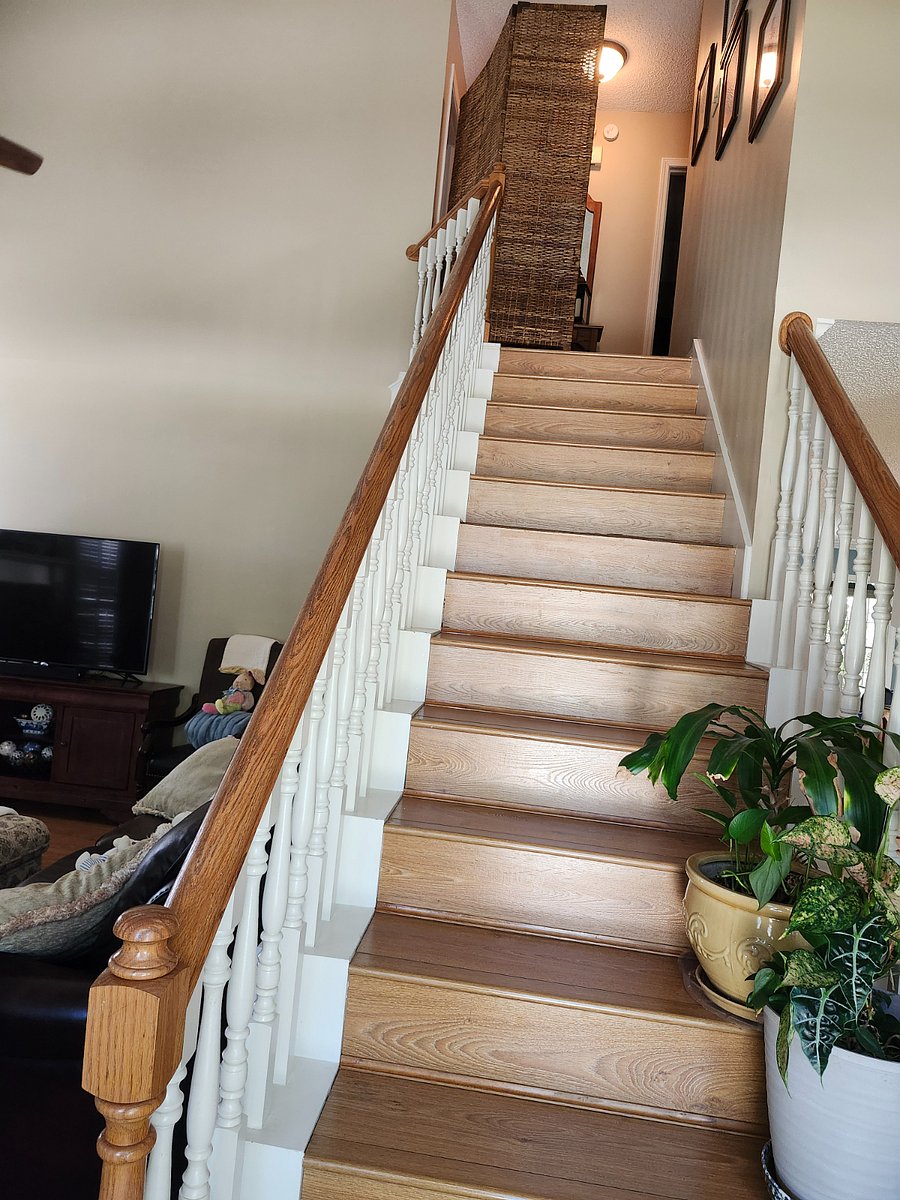 Furnished Finder property 1029631_1 photo 3