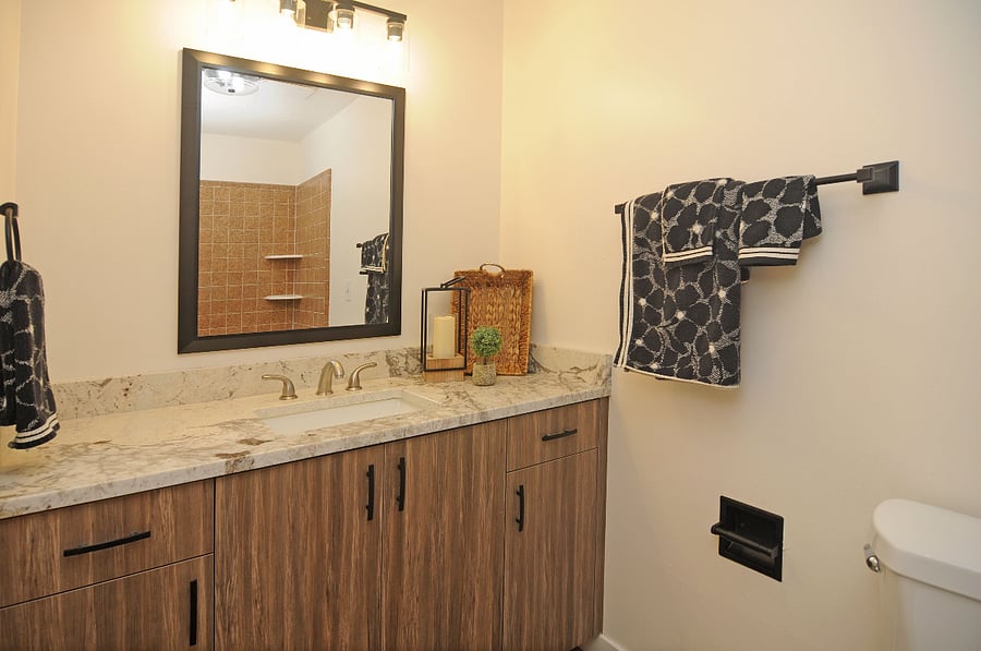 Furnished Finder property 1029760_1 photo 22