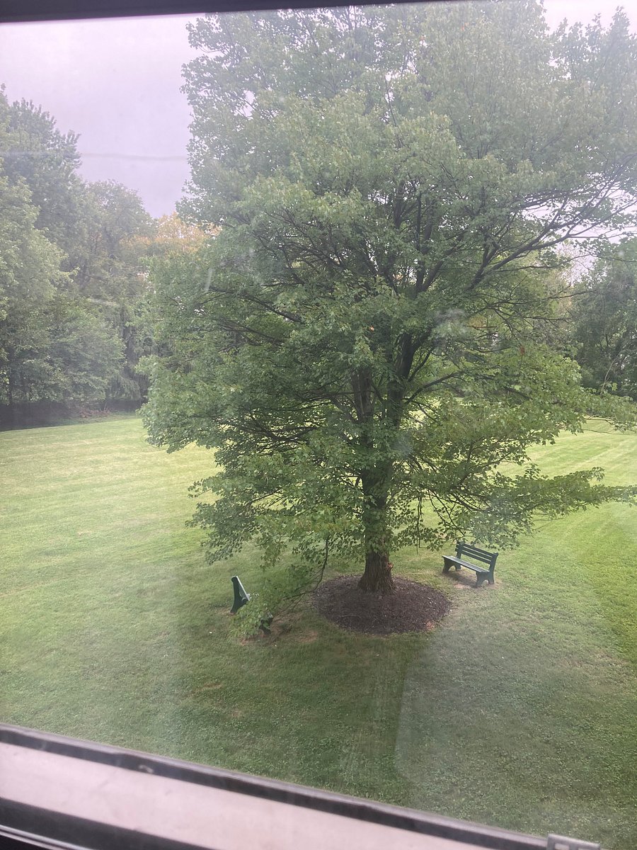 nature outside all windows