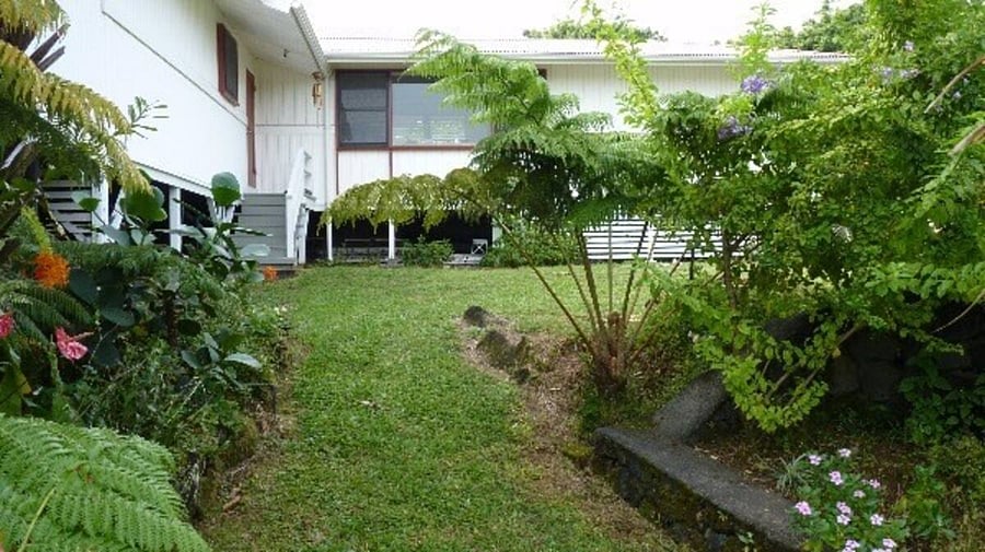 view facing the house from the backyard