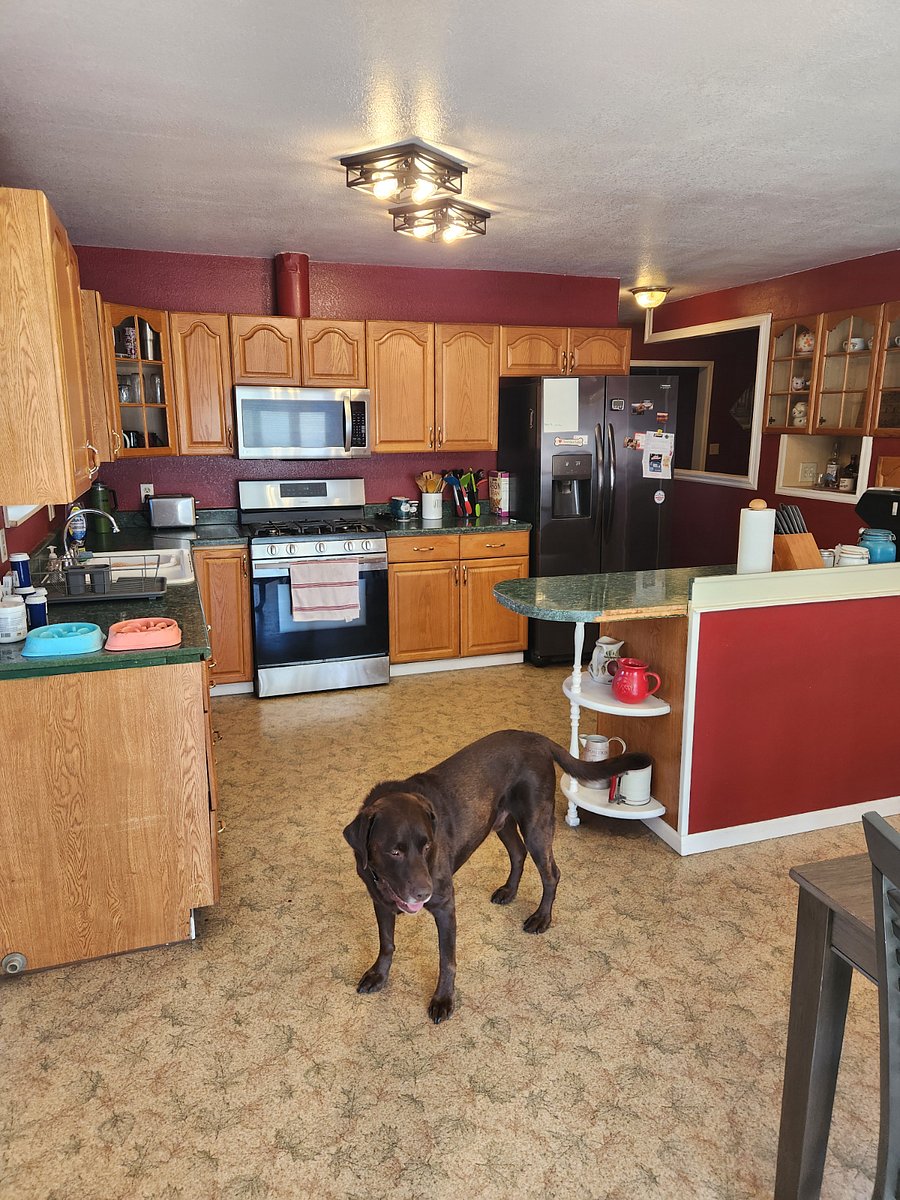 Furnished Finder property 1029906_3 photo 8