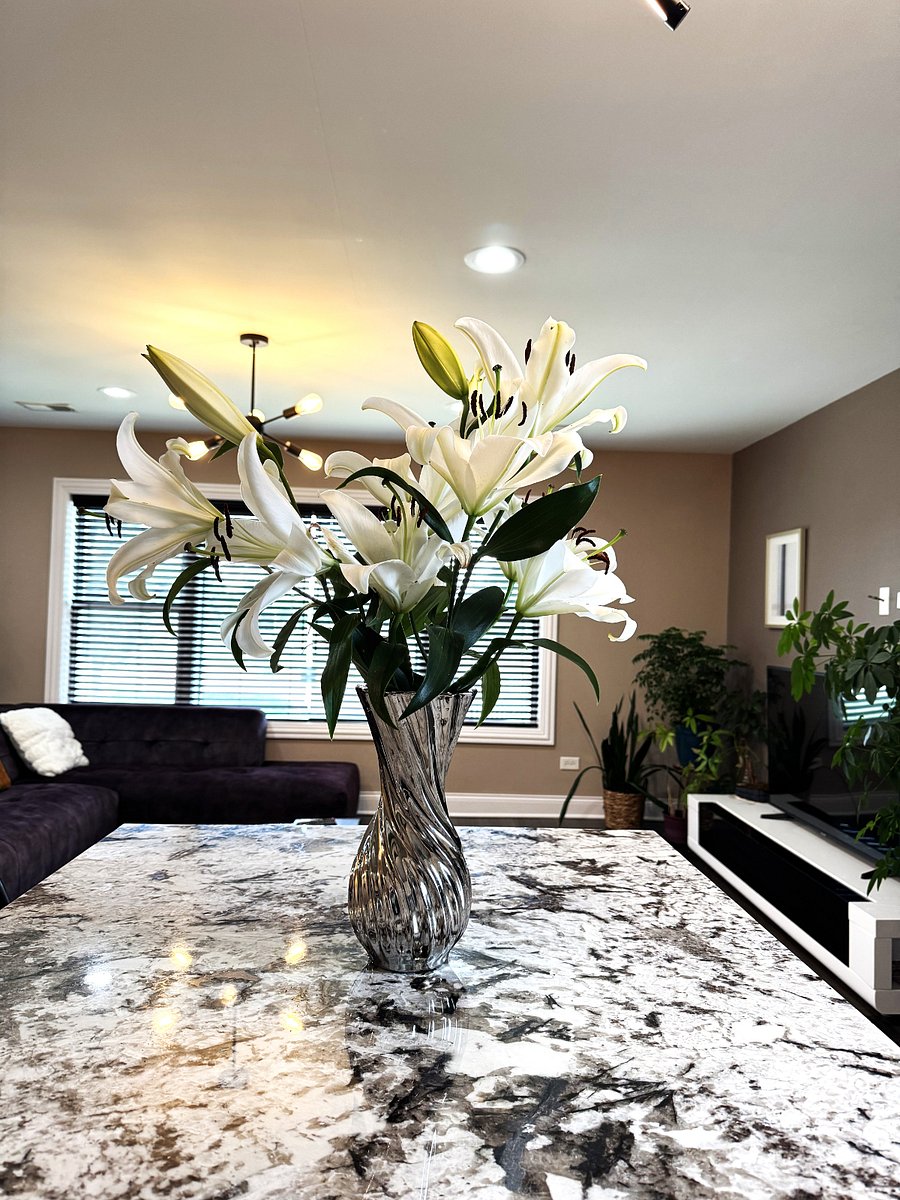 Furnished Finder property 1029942_1 photo 17