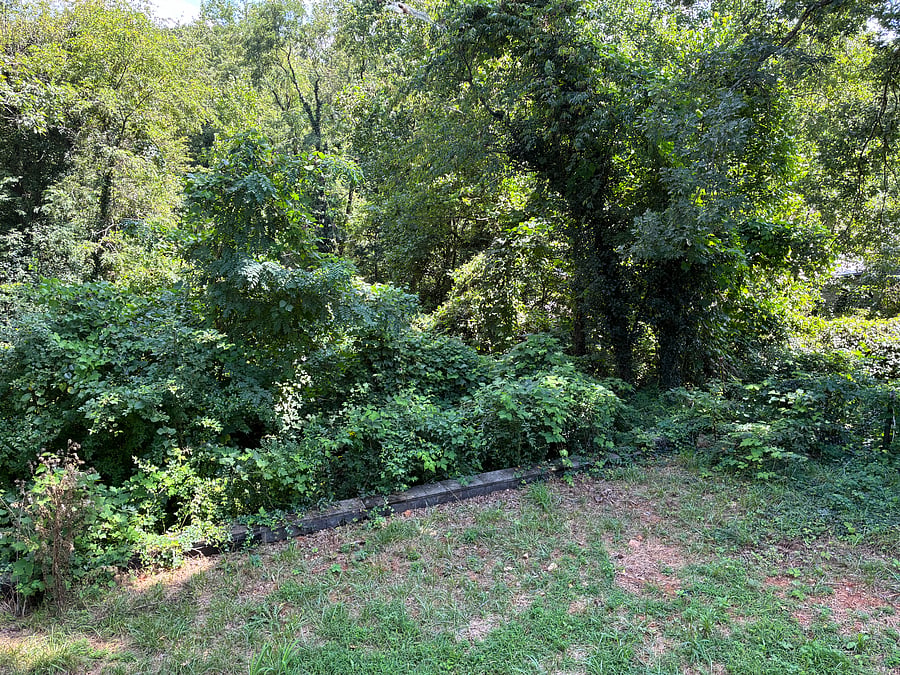Furnished Finder property 1030023_1 photo 19