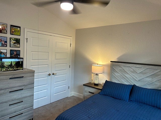 Furnished Finder property 1030116_1 photo 15