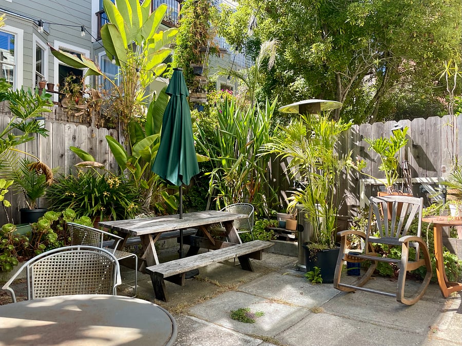 Backyard