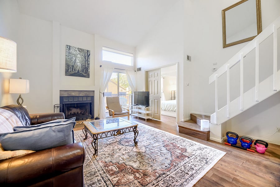 Living room featuring 20' vaulted ceilings