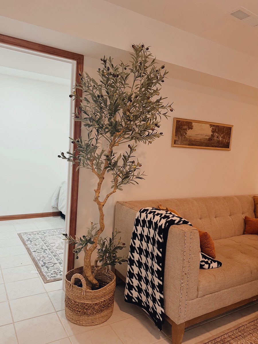 Furnished Finder property 1030248_1 photo 9
