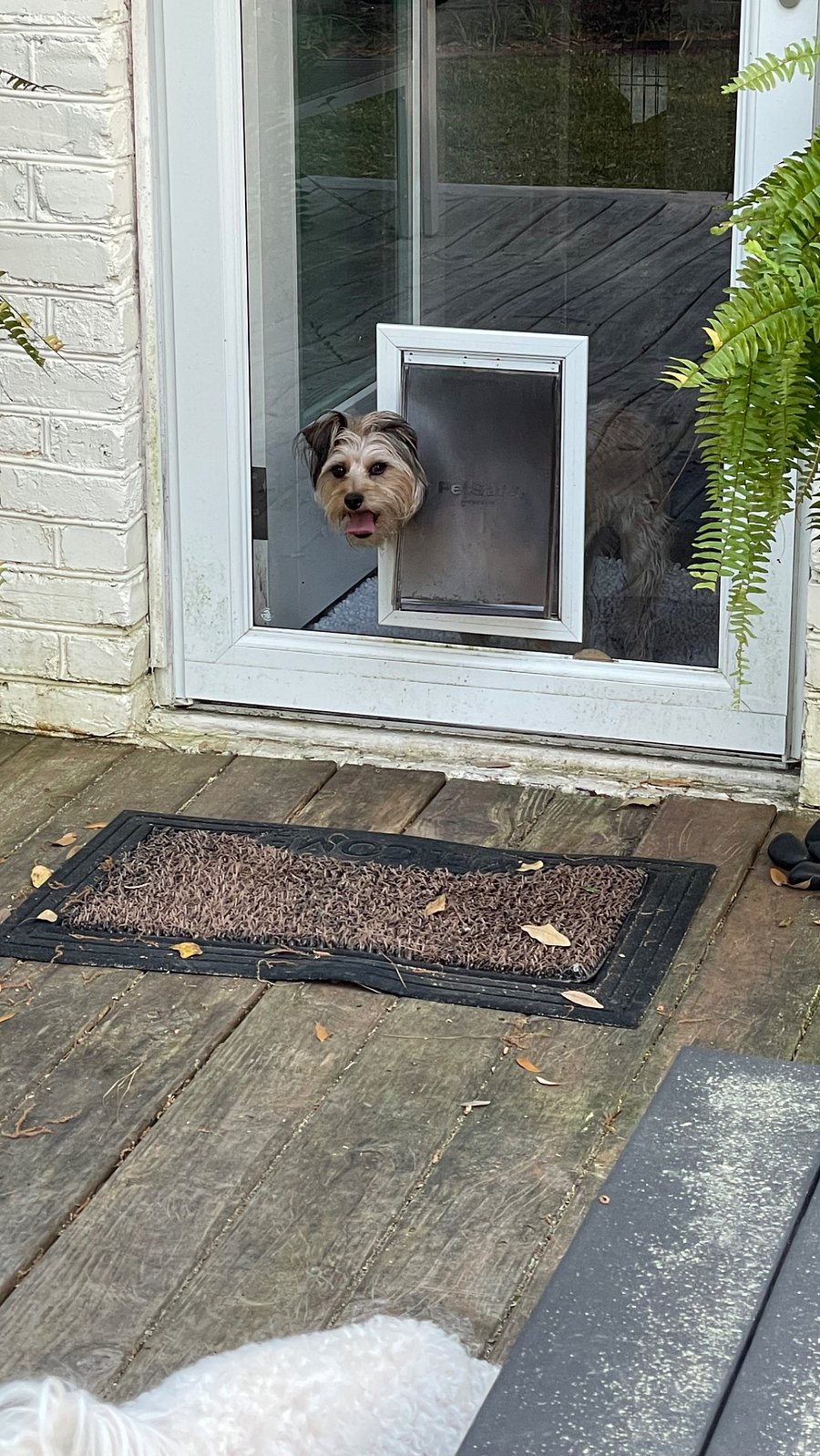 Doggie door.