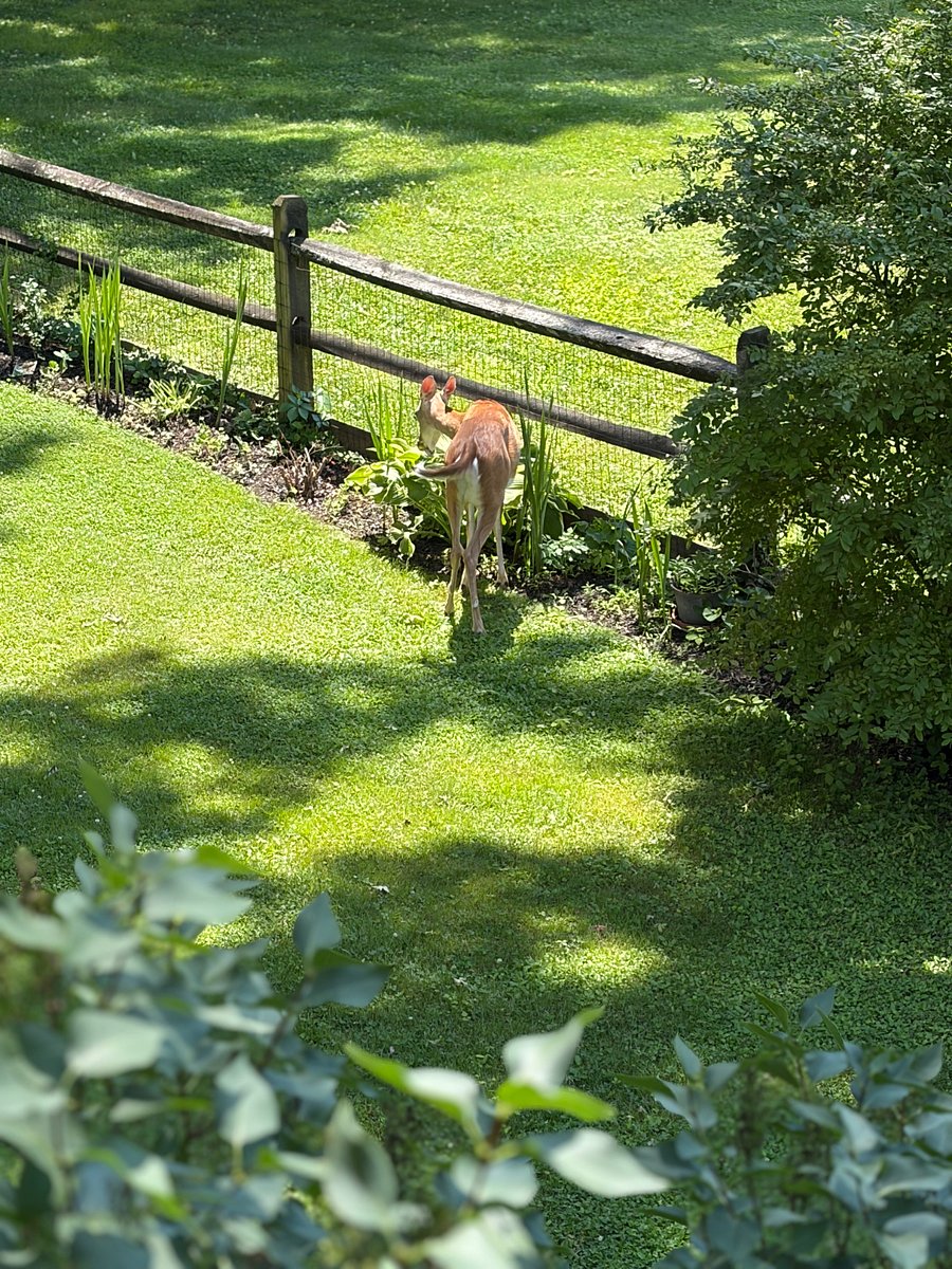 View from your dedicated work space window 