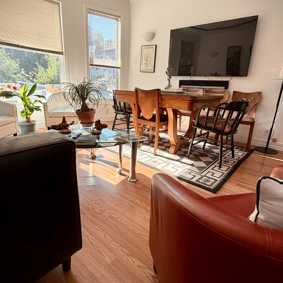 Light-filled living and dining space