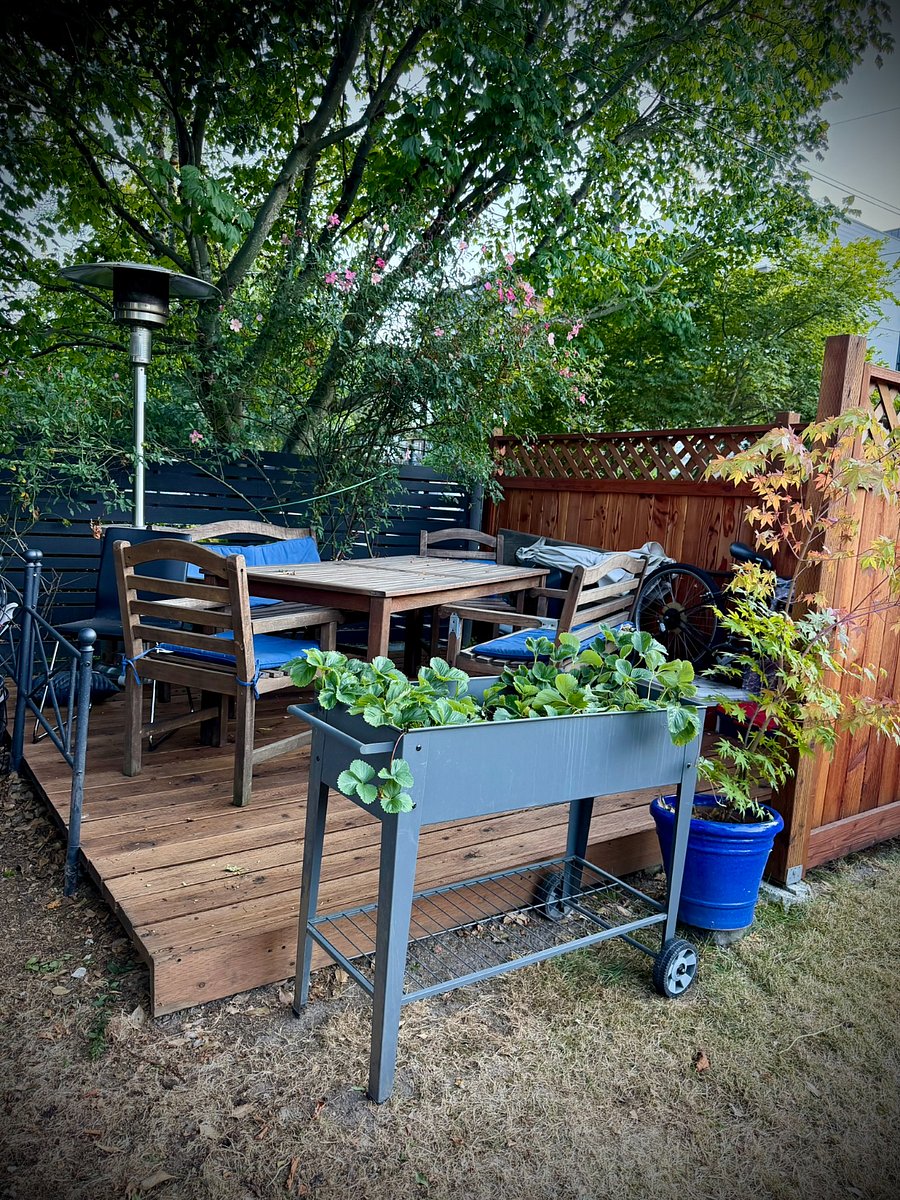 Front deck and BBQ area for Blue House renters