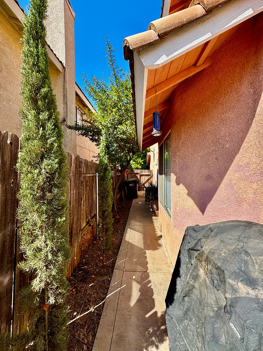 Backyard Side 