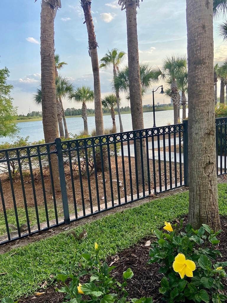 Furnished Finder property 1030555_1 photo 17