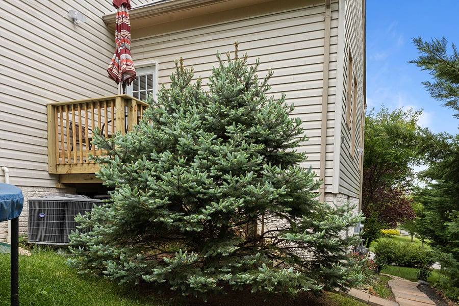 Furnished Finder property 1030634_1 photo 11