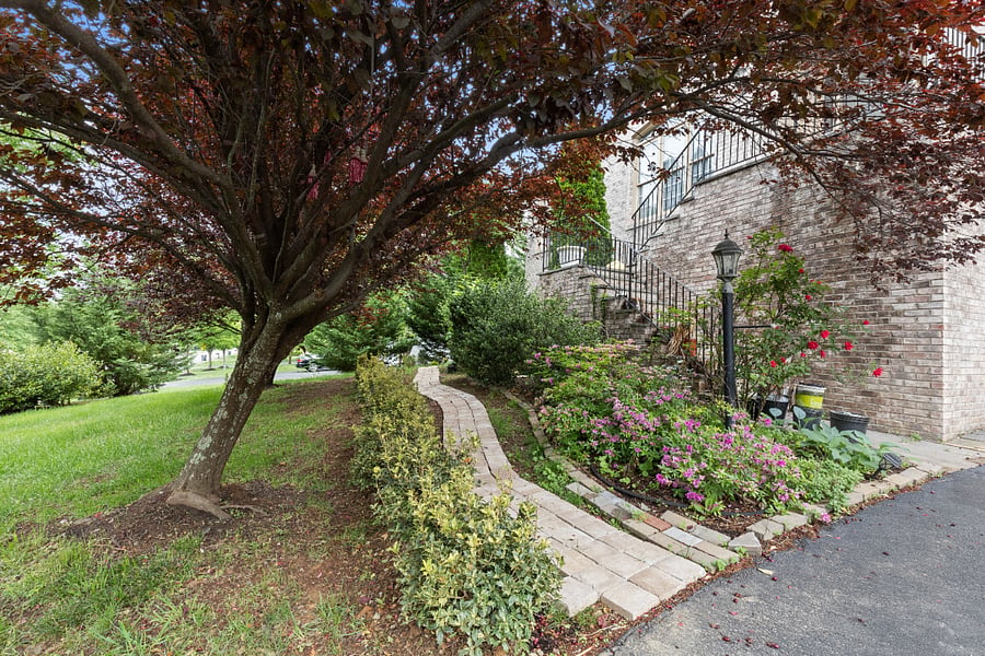 Furnished Finder property 1030634_1 photo 12
