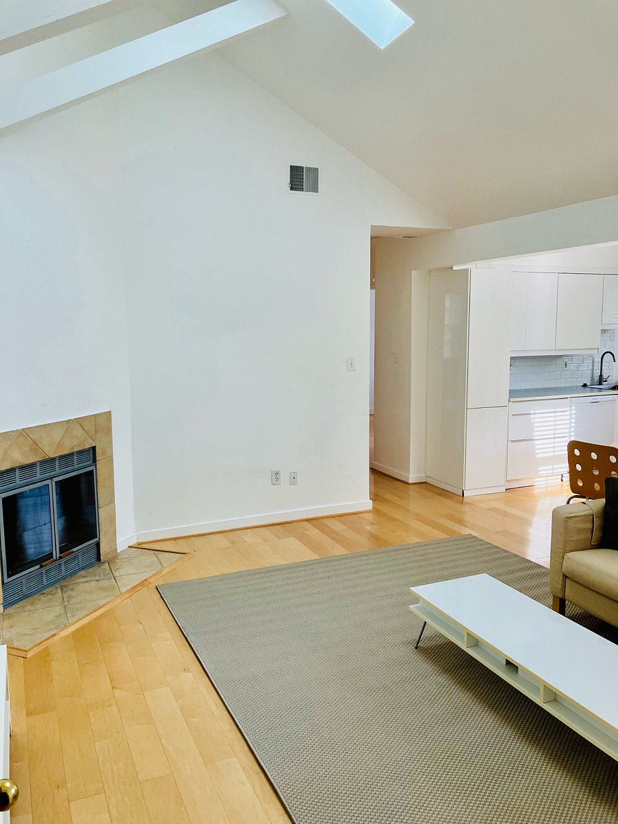 Living Room with Cathedral Ceiling, Skylights, and Wood Burning Fireplace