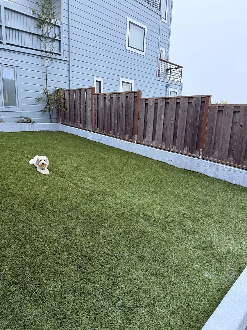 The private backyard