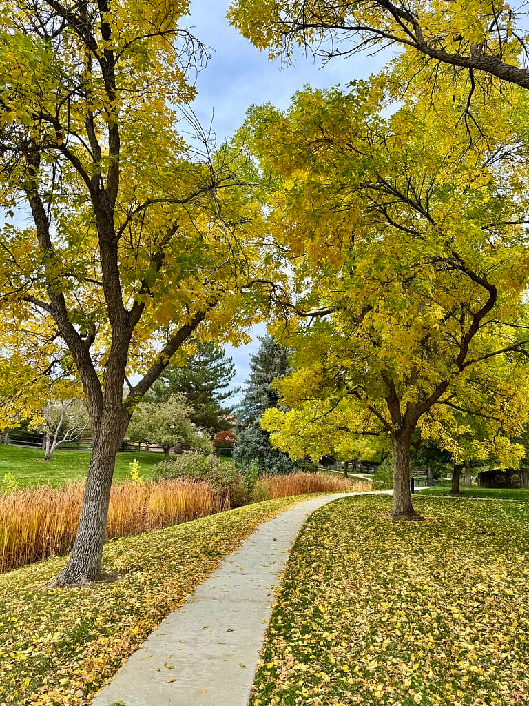 Explore the miles of manicured greenbelts and peaceful walking paths located right outside the front door in the beautiful Willow Creek community.